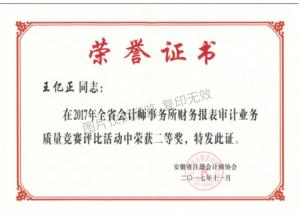 2017年度財務報表審計業務質量競賽評比活動個人二等獎-王億正
