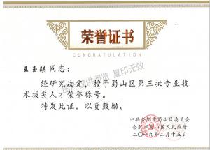 蜀山區人才拔尖（王玉瑛）