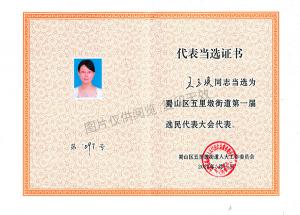 蜀山區無倫敦街道第一屆選民大會代表